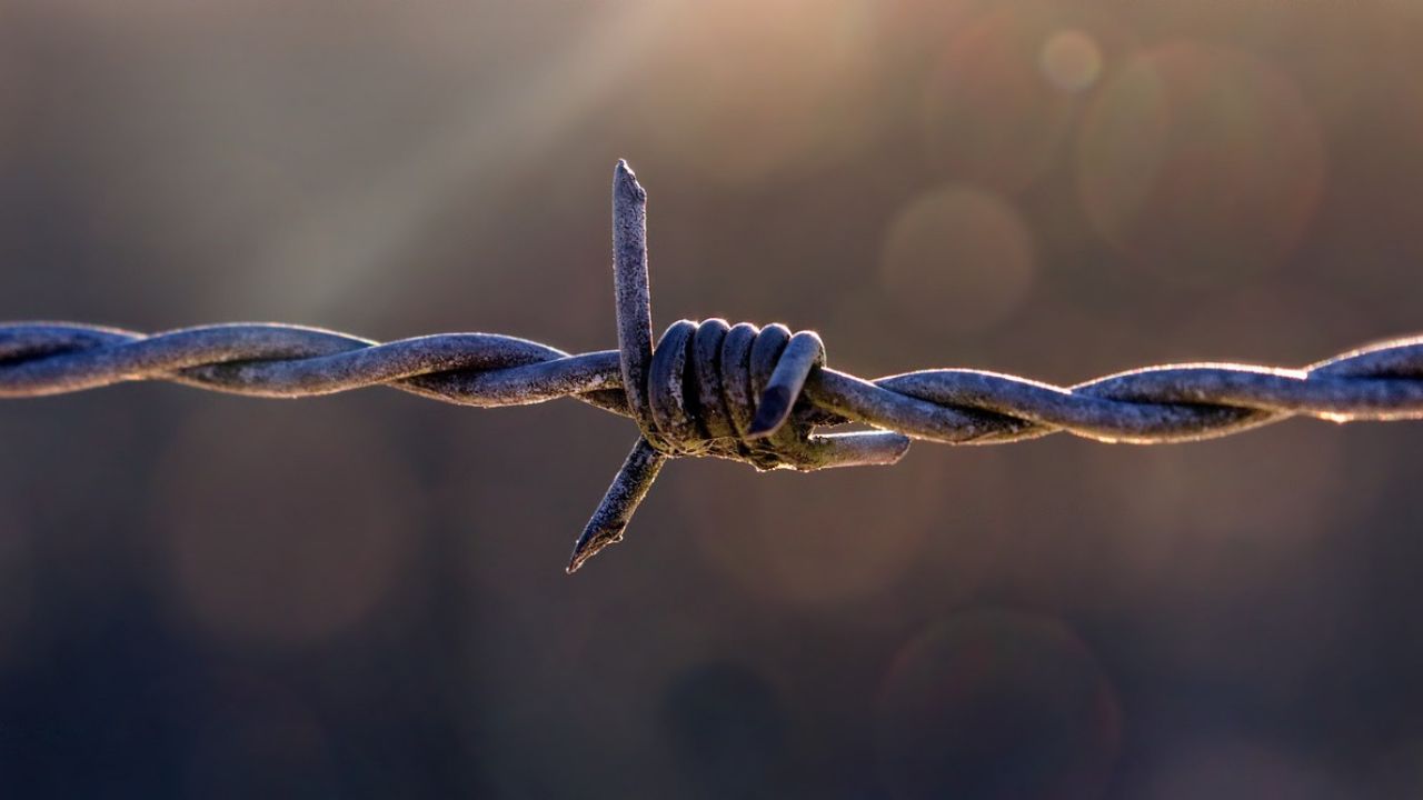 Barbed Wire Fence Calculator | The Ultimate Tool for Efficient Fencing
