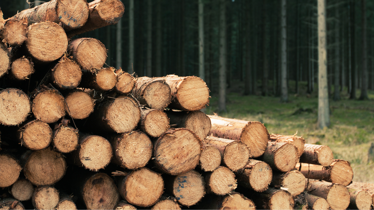 Lumber Yield Calculator - How to Estimate Usable Lumber from Logs