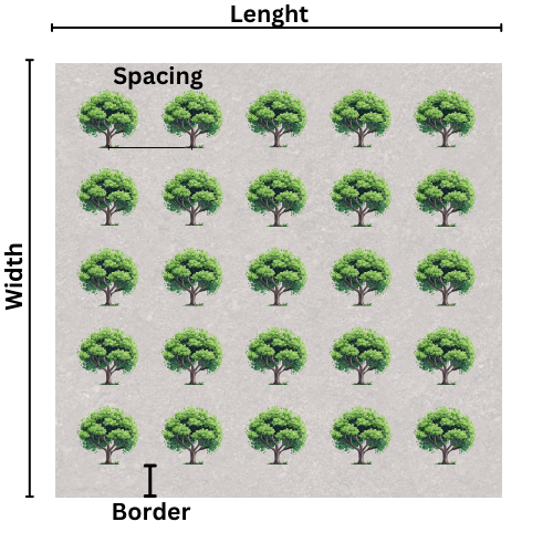 Square Pattern